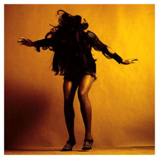 the last shadow puppets everything youve come to expect CD