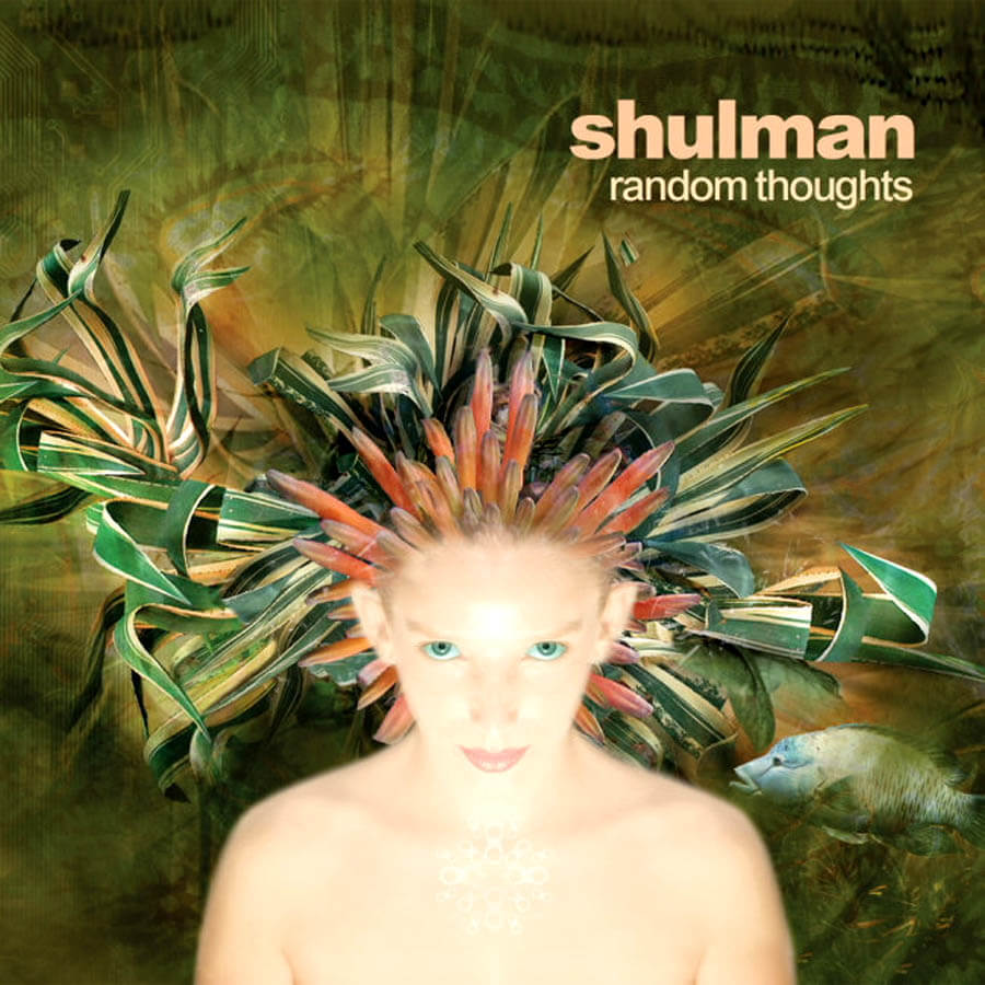 shulman random thoughts CD