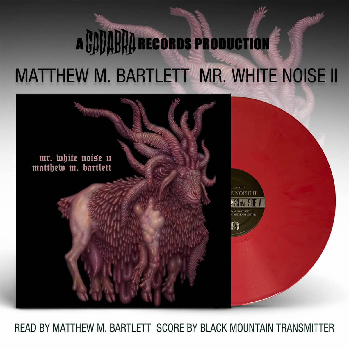 matthew bartlett mr white noise 2 cadabra records vinyl lp