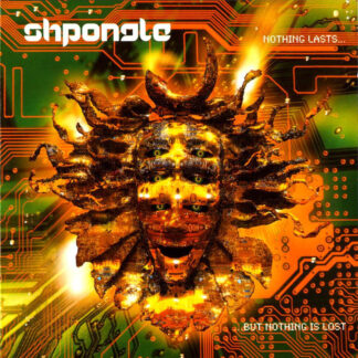 shpongle nothing lasts but nothing is lost vinyl lp