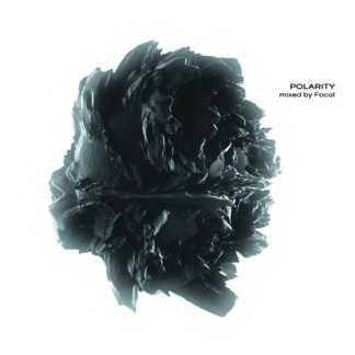polarity mixed by focal CD